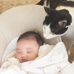 12748326_966137153468956_1197034454_a