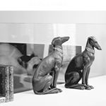 13092493_1155285727839469_1600352727_a