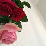 12750214_692124630929234_2125737520_a