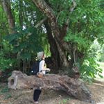 13266656_1191747934192343_1587010406_a