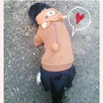 12783205_1509344522708499_1820014533_a