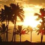 11909995_665129430290430_1545520920_a