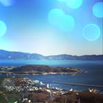 11378775_1036460159747190_820028963_a