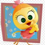 10488625_982004628548490_929905462_a