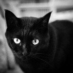 10852728_953631138014570_836081472_a