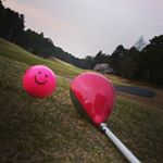 13118210_123143251429981_359156275_a