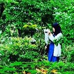 13129881_1275345025828716_1801613409_a