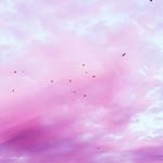 12545385_1655885581337798_2134746487_a