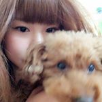 12976576_586881328152137_937383925_a