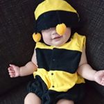 12445782_529163443936991_251017588_a