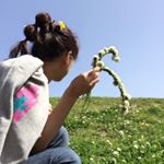 13187943_234442633597559_1180280213_a