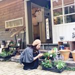 13266771_232803533778027_884349321_a