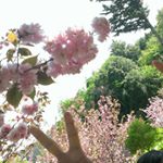 12145330_835801913207825_902809702_a