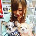 12798062_249239382080010_1387616913_a