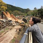 12940680_208759376182099_80095323_a