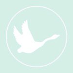 11117096_1425989137704567_870345033_a