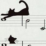 12543160_473803826140171_1417609709_a