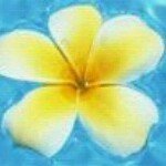 11311333_1131886430174454_2019971222_a