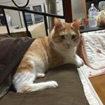 13108857_479173665609149_875249108_a