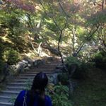 11899501_1648992878688158_583517458_a