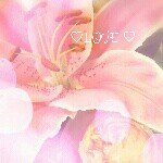 10454070_769995436364968_1474842280_a