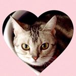 13166662_383437728493542_750754712_a