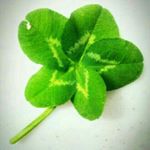 12751166_1515014112137234_1671570104_a