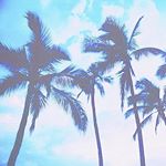 13256833_1751200258431569_237817733_a