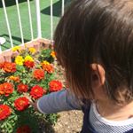 13277585_1743966475847158_1007721903_a