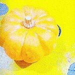 10375622_248180645387661_1444605004_a