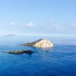 10013035_383589238491813_1712477010_a