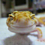 10520159_622837427837326_2016068224_a