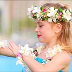 12530974_991250880911851_1782385135_a