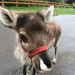 11356617_1615495552032890_1160817516_a