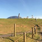 13117868_1785657085001113_1534908747_a