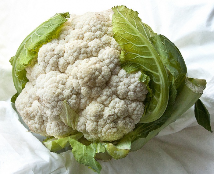 カリフラワー／cauliflower by Muffet
