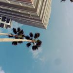 12959991_1605825299739977_50561947_a