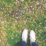 12965218_690353571103053_1310385126_a