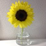 10387797_636302659801845_339767949_a