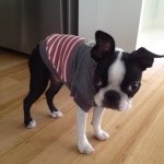 10261132_1436795543245598_37100762_a