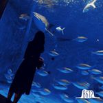 13258926_1618114141842031_1411316763_a