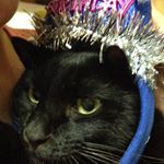 12976409_686290014847334_2102849866_a