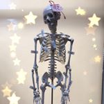 12543371_1252688794746995_263030071_a