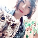 13183462_1084993681521796_1335088552_a