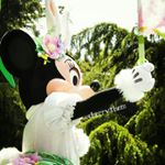 13181483_1084411171625203_1583472531_a