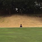 929303_250829398588139_2016076956_a