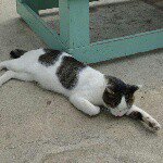 12237189_921354191282537_1334480427_a