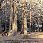 10838366_1503629083250245_1544638596_a