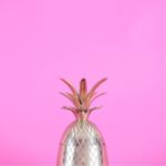 11352298_120643818276022_1910551707_a