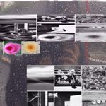 12783434_466753776868455_456344357_a